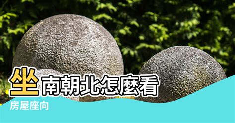 座南朝北財位|【風水地方方向】房屋座向 